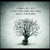 23초에 한 권씩 팔리는 책 《거짓말을 먹는 나무》