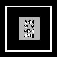 #한계에_갇힌_벼룩과_코끼리