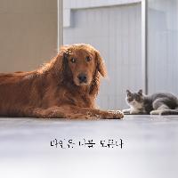 이영자 매니저 송팀장의 선택, 타인은 나를 모른다