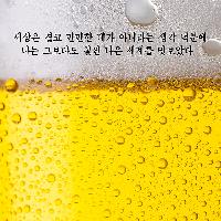 모든 것은 비교의 문제다