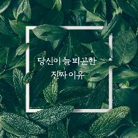 당신이 늘 피곤한 진짜 이유
