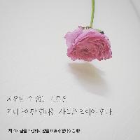 [책속한줄] 치유될 수 없는 것들은 견뎌내야만 한다