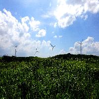 마흔 넘어 떠나는 혼자만의 여행