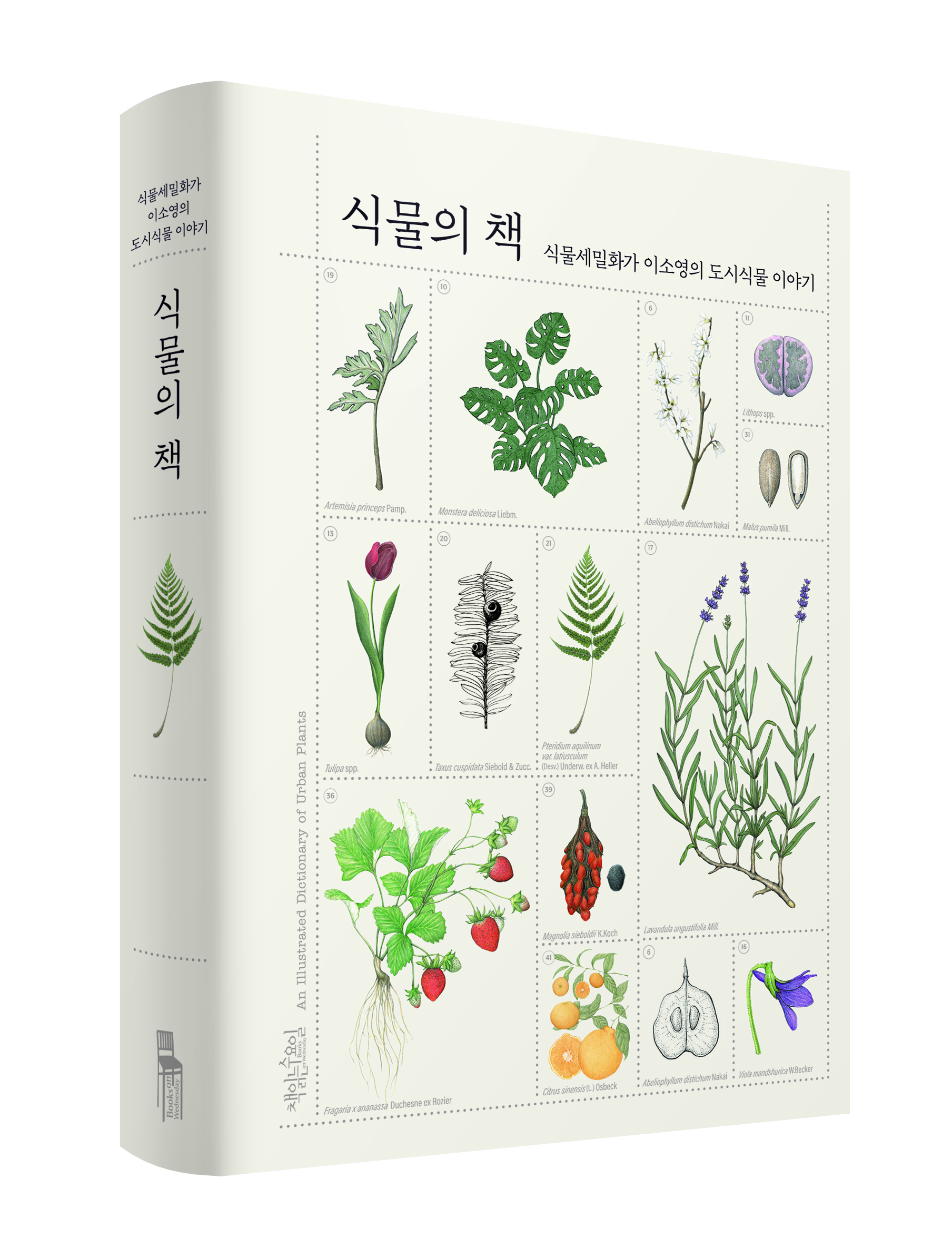 우리 곁에 있지만 미처 보이지 않았던 식물의 생활
