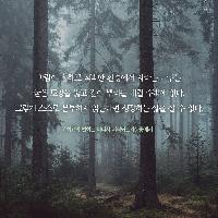 바람이 강할수록 나무는 강해지는 법이다.