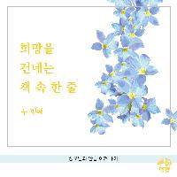 희망을 건네는 책 속 한 줄 -두 번째