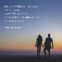 [책속한줄] 인생은 알 수 없는 것 같아