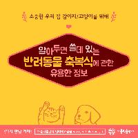 알아두면 쓸데있는 반려동물 축복식에 관한 유용한 정보!