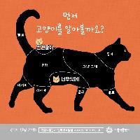 반려동물의 스킨십 선호 부위! <다시 만날 거야>중에서
