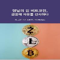 양날의 검 비트코인, 금융에 자유를 선사하다.