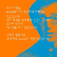 혼동의 조동사를 설명합니다