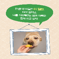 노잼 일상을 부수러 온 크고 소중한 파괴왕 밀란!