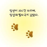 여전히 시리도록 선명한 발자국