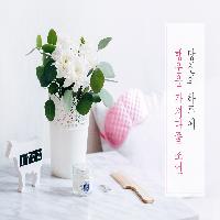 당신의 하루에 행운을 가져다 줄 조언
