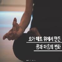 요가 매트 위에서 만든 몸과 마음의 변화