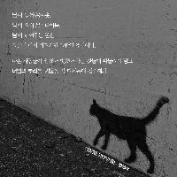 [책속한줄] 너만의 기둥을 잘 다지는데 집중해봐.