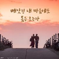 빼앗긴 내 마음에도 봄은 오는가