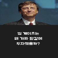 빌 게이츠는 왜 가짜 달걀에 투자했을까?