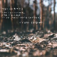 걱정도 나이를 먹는다.