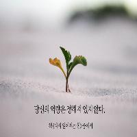 [책속한줄]당신의 역량은 정해져 있지 않다.