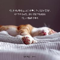 생활의 기본