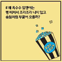 왜 옥수수 알갱이는 솜털처럼 부풀어 오를까?