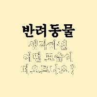 반려동물을 생각하면 어떤 모습이 떠오르나요?