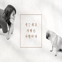 개는 개고 사람은 사람이다!