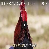 한 권으로 읽는 시간의 탄생과 역사 그리고 미래