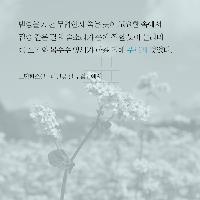 그의 소설에선 시의 향기가 난다.『메밀꽃 필 무렵』