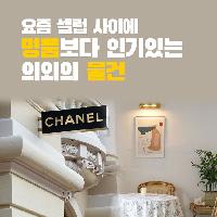 요즘 셀럽 사이에 명품보다 인기있는 의외의 물건