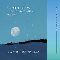 여행이 좋아서 청춘이 빛나서