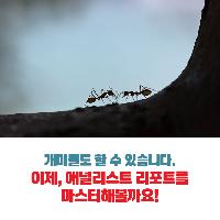 개미들도 할 수 있다, 애널리스트 리포트 완전 정복!