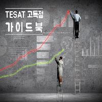 [수험전략] TESAT(테셋) 고득점 가이드북