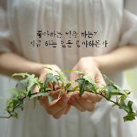 좋아하는 일을 하든가, 지금 하는 일을 좋아하든가