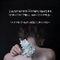 No라고 말하는 방법에 관하여