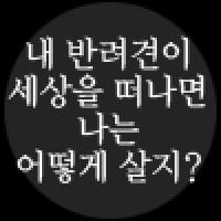 당신의 노령 반려견을 방치하고 있진 않은가요?