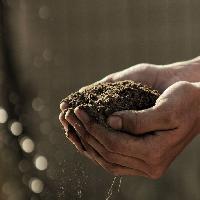 지구에서 가장 성공한 동물은?