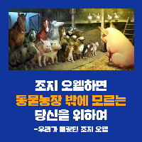 [더저널리스트:조지오웰] 우리가 몰랐던 조지오웰