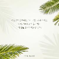 꿈을 키우는 것은 비관이고 기대를 하는 것도 비관이다