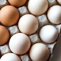 "달걀을 한 바구니에 담지 마라'