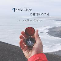 책을 읽는 사람은 흔들리지 않는다.