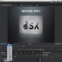 Final Cut Pro X 앱에서 동영상 추출