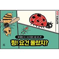 작고 하찮은 곤충들의 대반전!