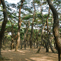 <알쓸신잡> '경주' 쉼표 여행 BEST 3