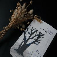 '슬의' 전국의 산모를 울린 석형의 한 마디