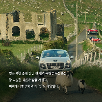 내가 사표를 던지고 영국으로 간 이유