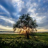 자연경관을 사진으로 담기 | HDR 포토그래피