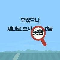 보였으나 제대로 보지 못한 것들