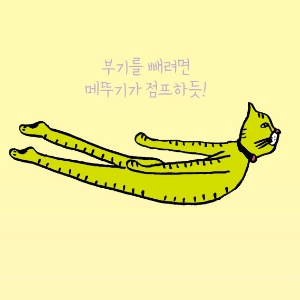 [냥이 안방 요가]#5. 메뚜기 자세